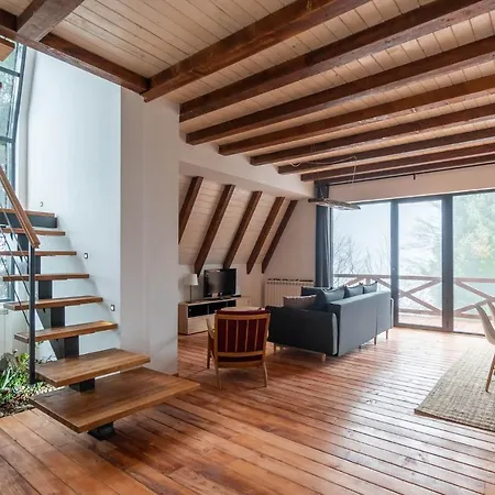 Vista Mountain House *