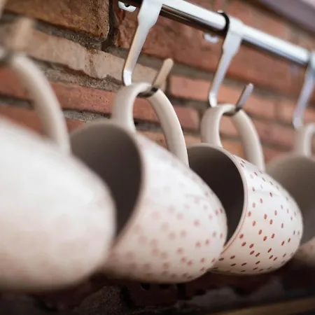 Vista Mountain House شاليه