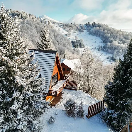 شاليه Vista Mountain House