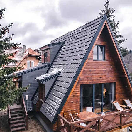 شاليه Vista Mountain House كوباونيك