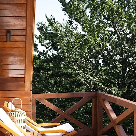 Dağ evi Vista Mountain House Kopaonik
