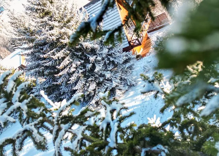 Vista Mountain House