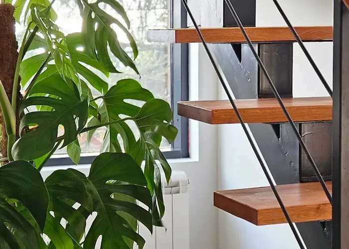 Vista Mountain House Kopaonik