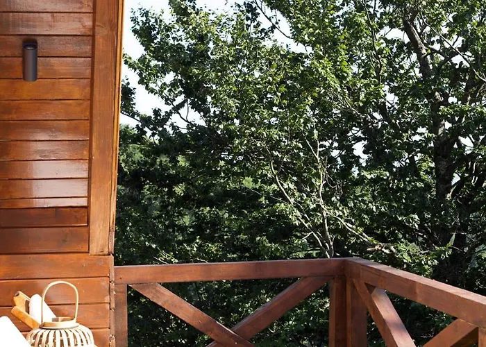 Chaletu Vista Mountain House Kopaonik